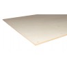 multiplex (meubelplex) populieren 15mm 1220x2500mm